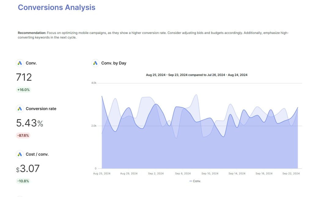 Google Ads report client reporting 3