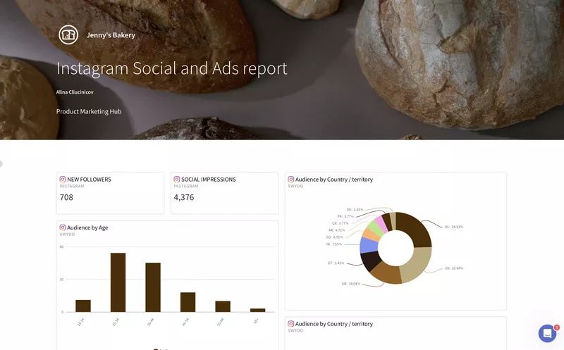 Instagram Social and Ads Report in Swydo