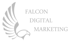 Chris Cabaniss / Falcon Digital Marketing