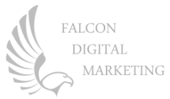 Chris Cabaniss / Falcon Digital Marketing