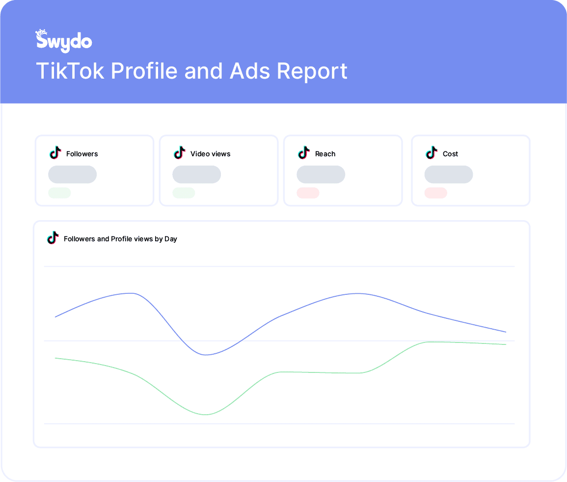 TikTok Report