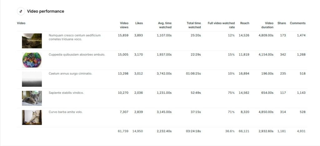 TikTok report 11 13 2024 05 52 PM 1