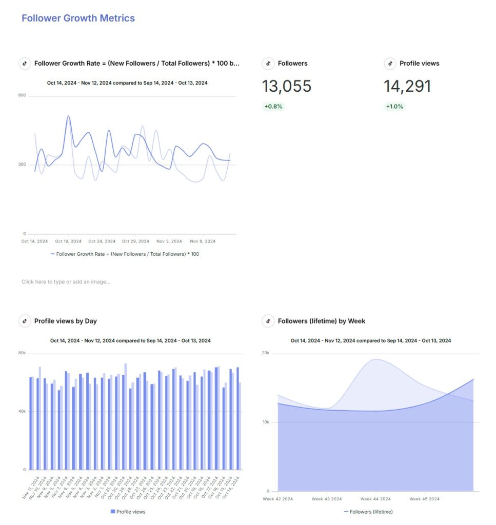 TikTok report 11 13 2024 05 53 PM