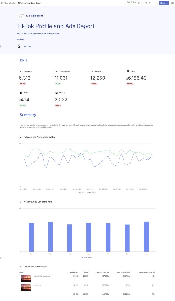 TikTok Profile and Ads Report 12 02 2024 02 54 PM