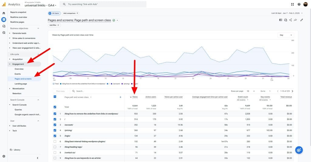 Analytics Pages and screens Page path and screen class 02 04 2025 09 46 AM